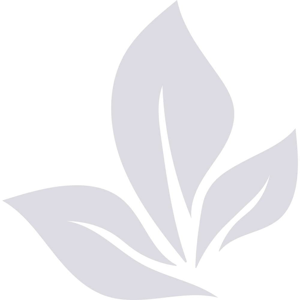 Lotus Accent Graphic